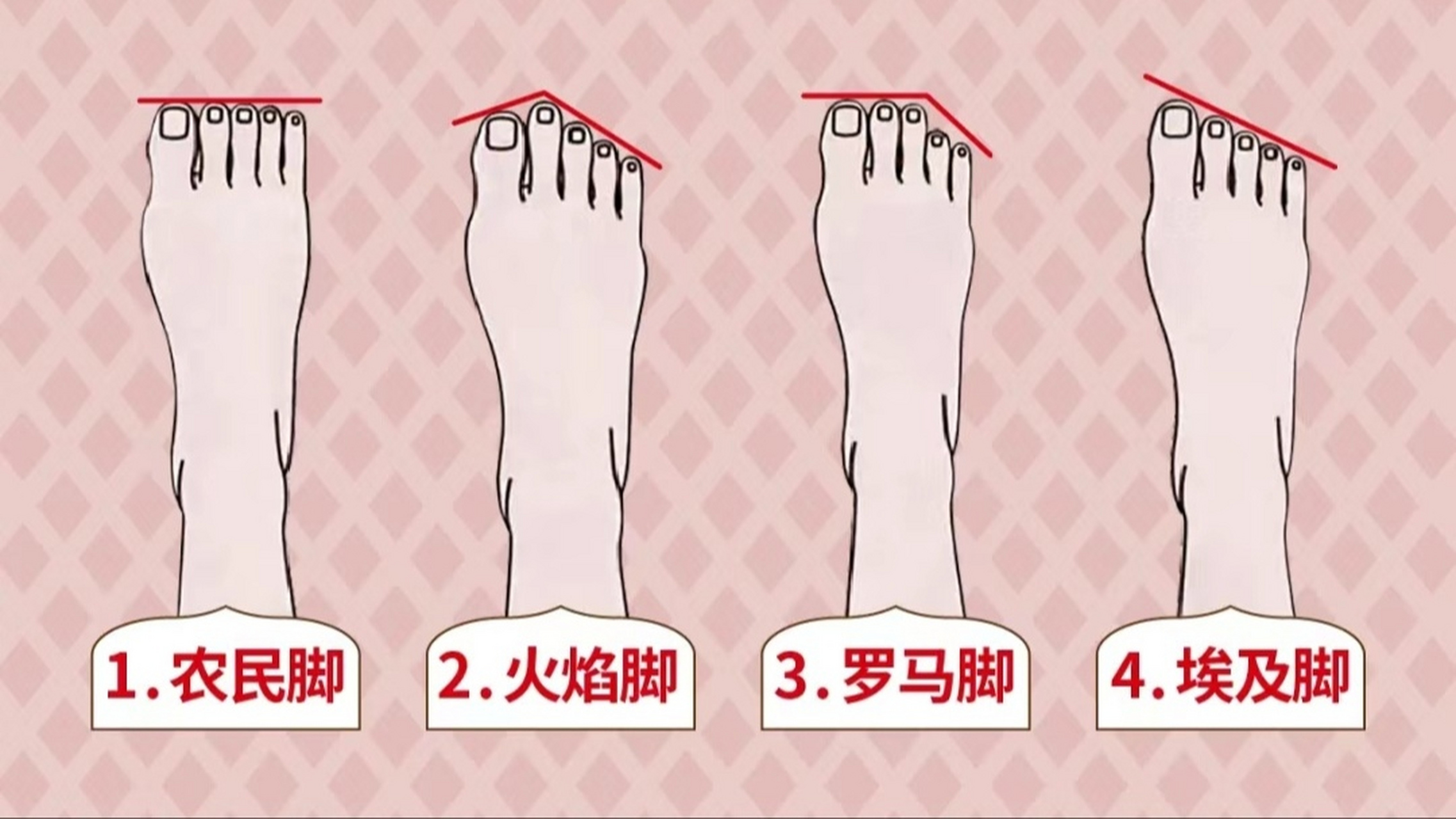 脚趾长短代表什么