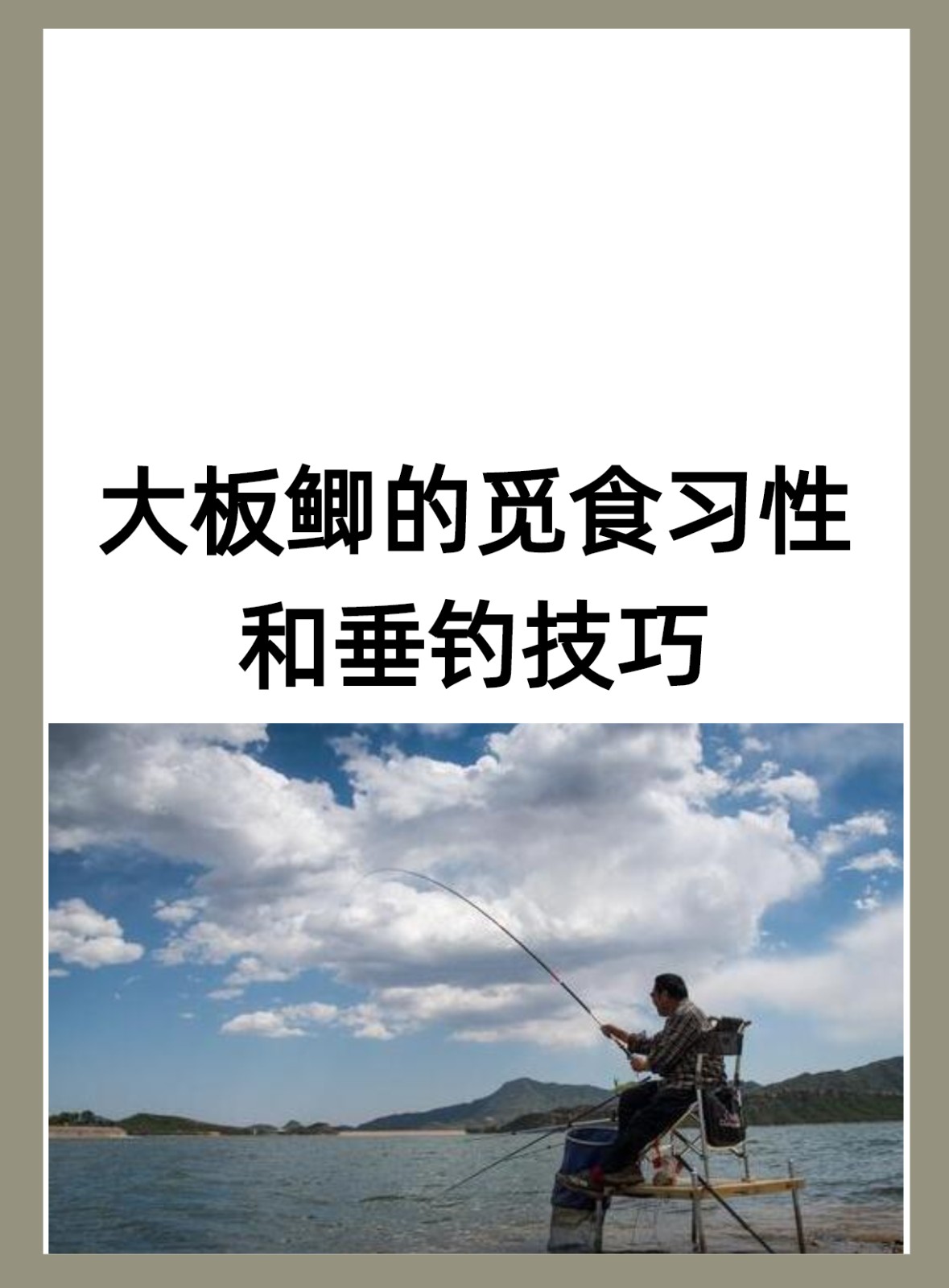 怎样能钓到鲫鱼