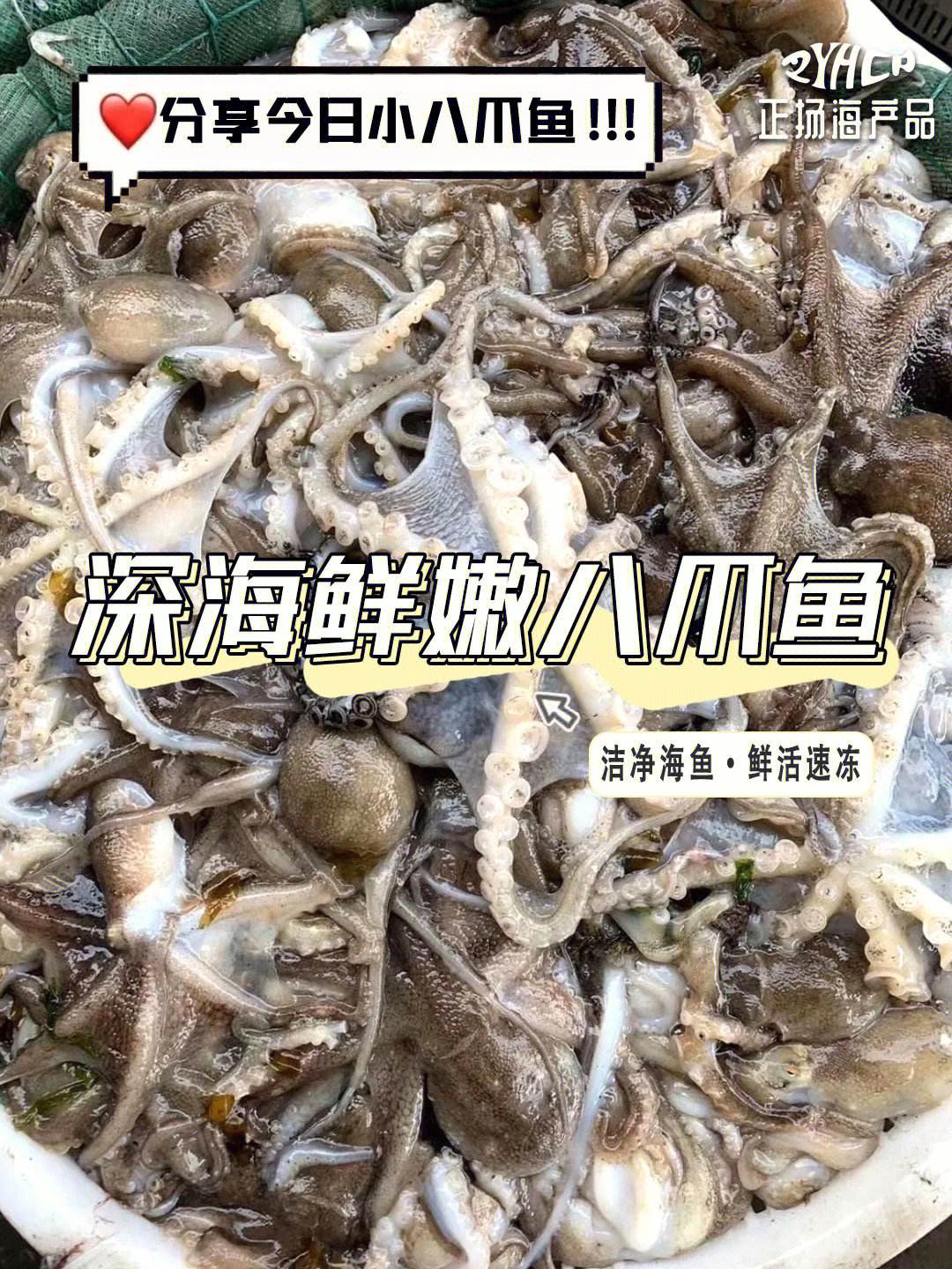 八抓鱼头里面能吃吗