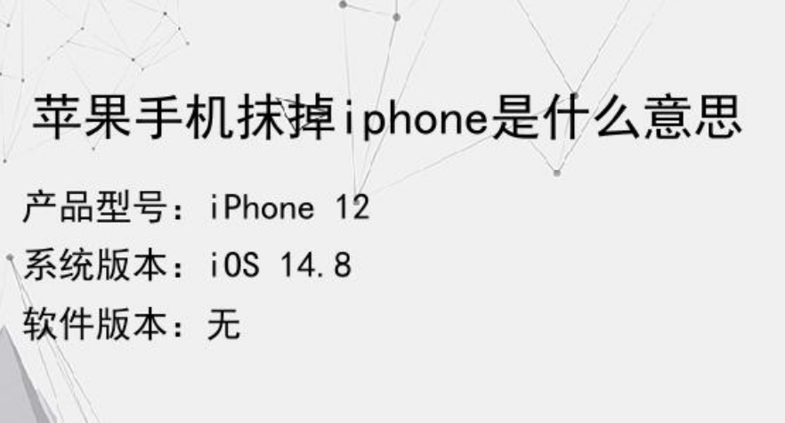 iphone中文意思是什么