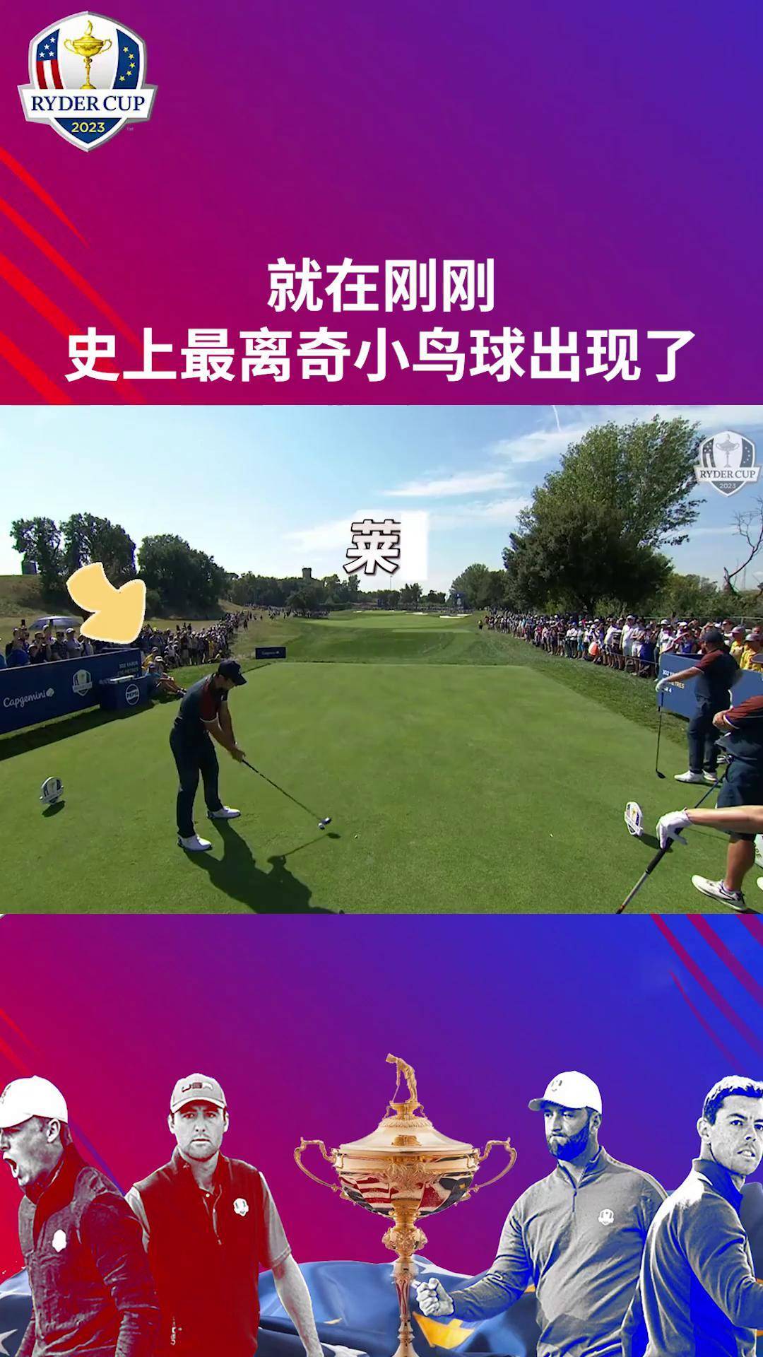 高尔夫中的小鸟球是什么意思