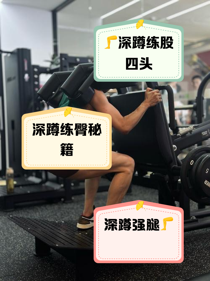 深蹲练的是什么部位