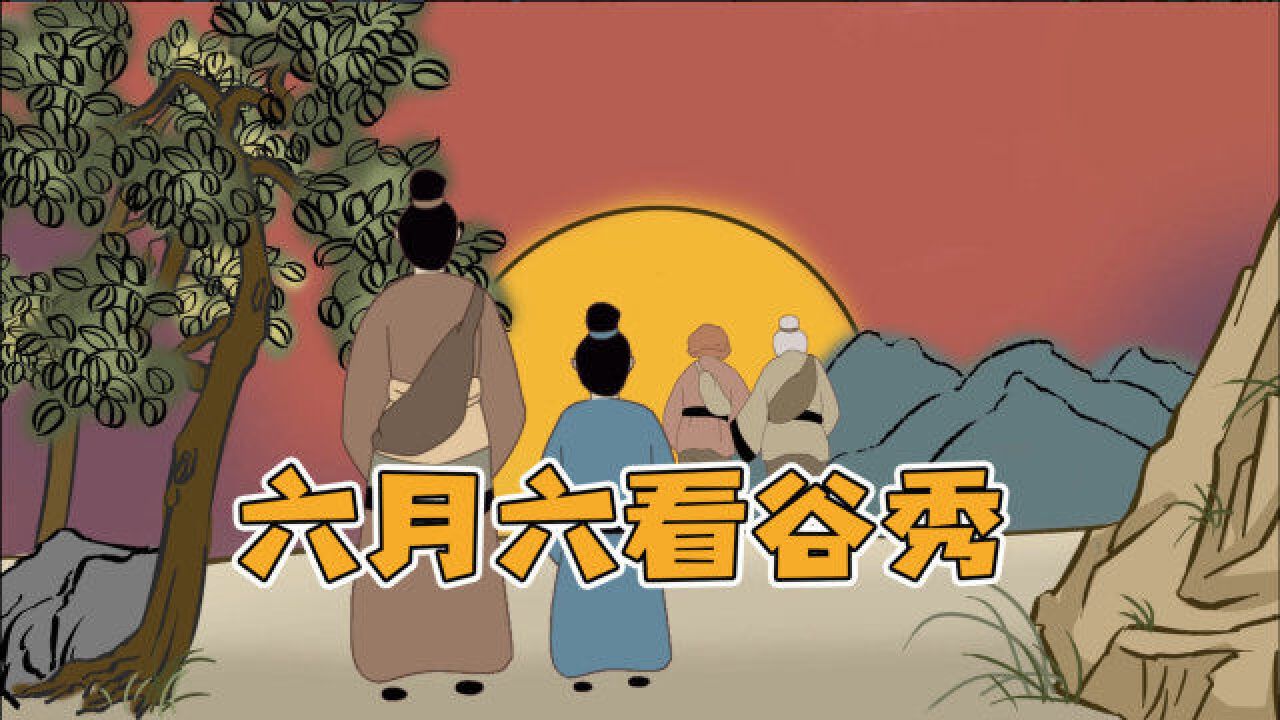 六月六看谷秀的意思是啥