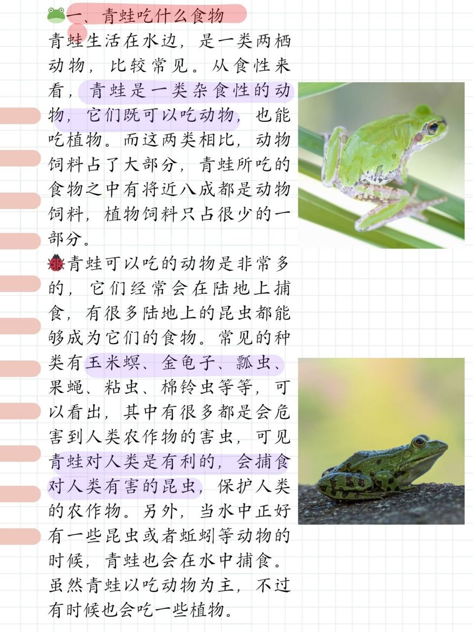 青蛙怎么叫