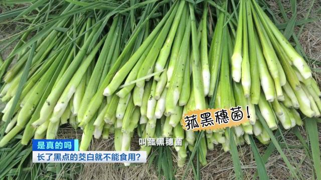 茭白上有黑点能吃吗