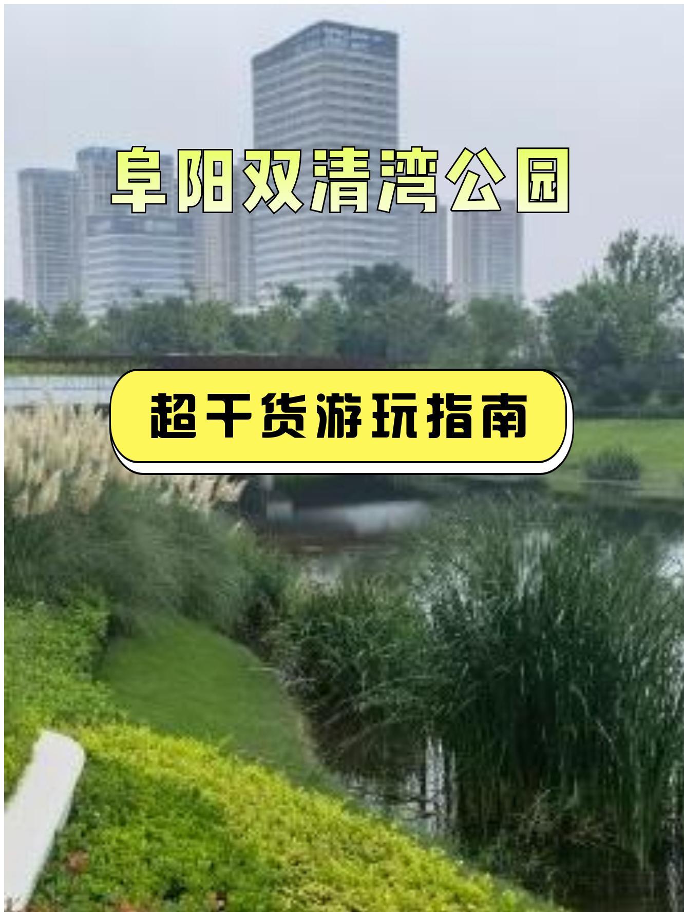 双清区属于哪个市