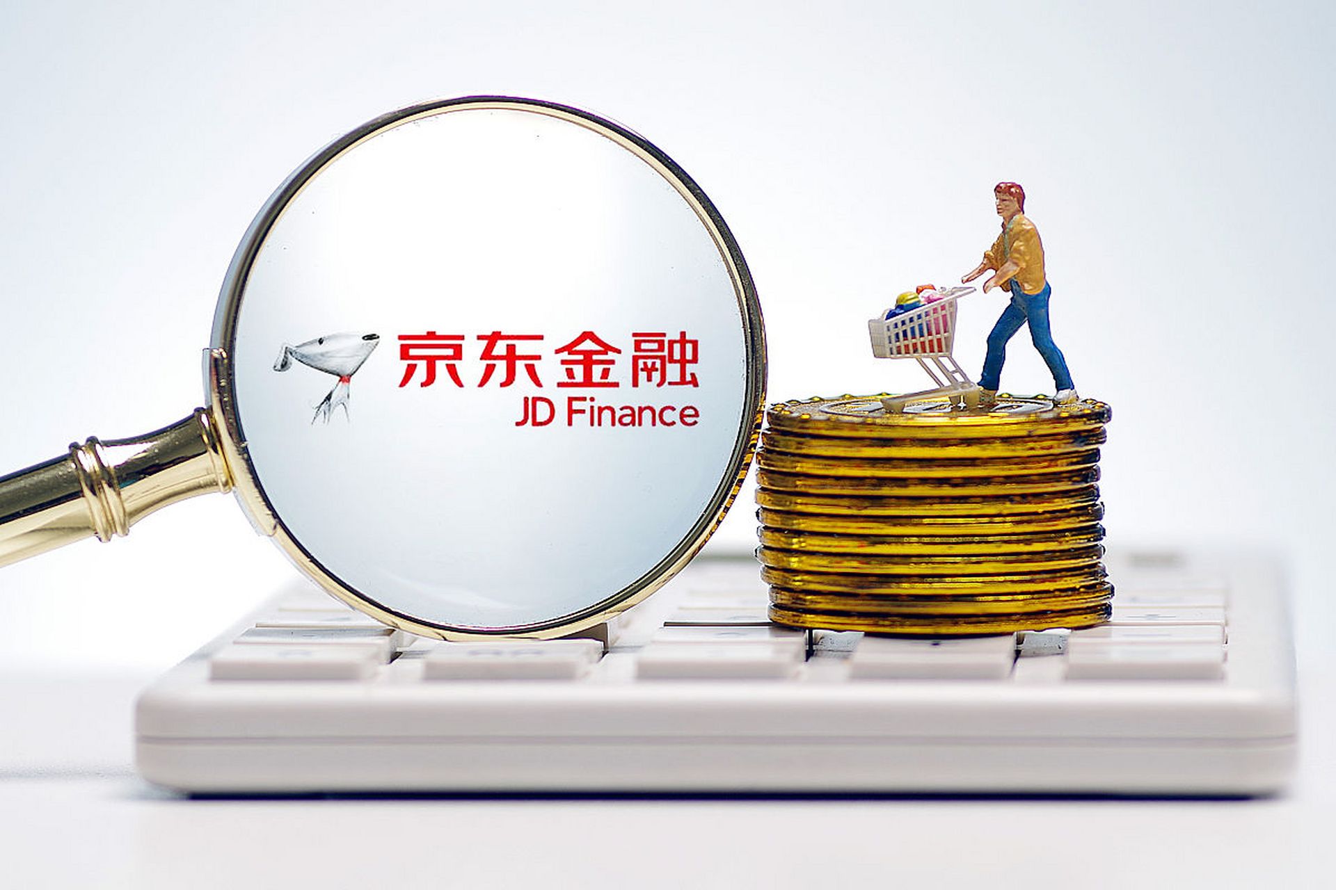 白条闪付是什么