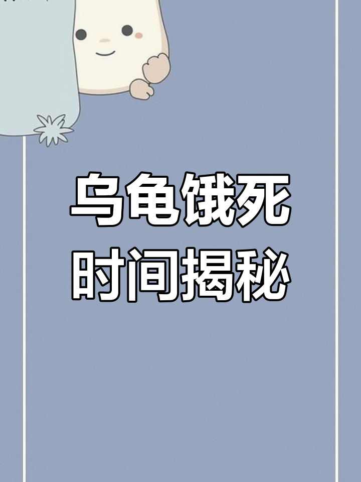 乌龟可以多久不吃东西