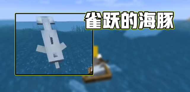 我的世界海豚怎么骑