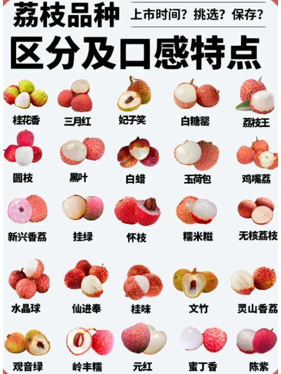 荔枝怎么保存新鲜