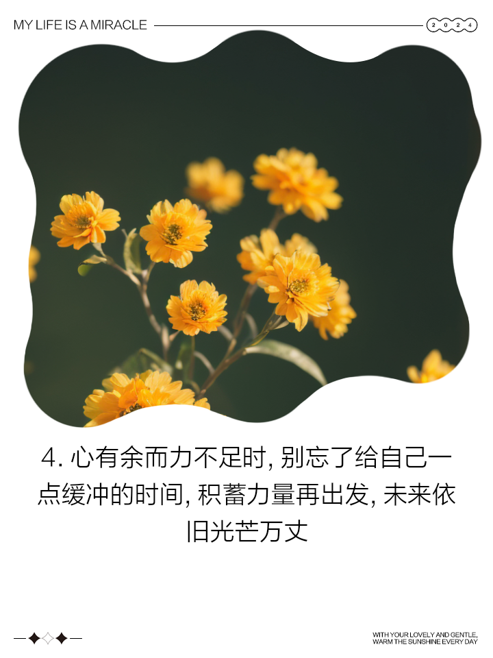 心有余而力不足的意思