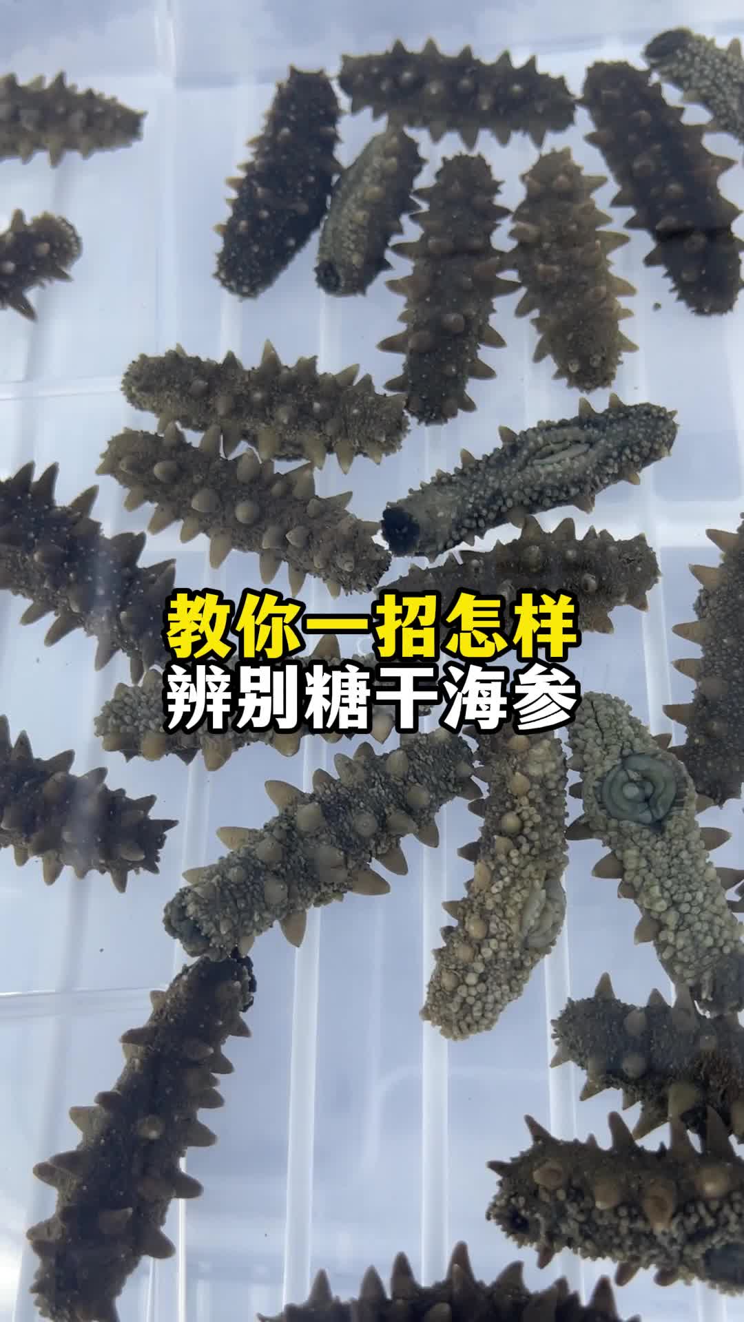 admin 第1123页