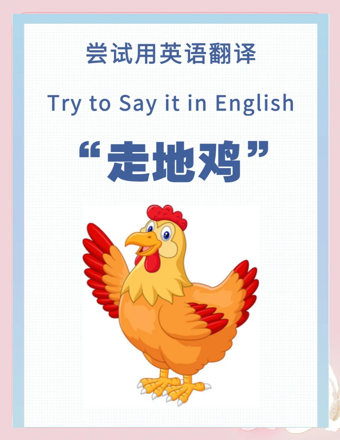 鸡的英语单词怎么写
