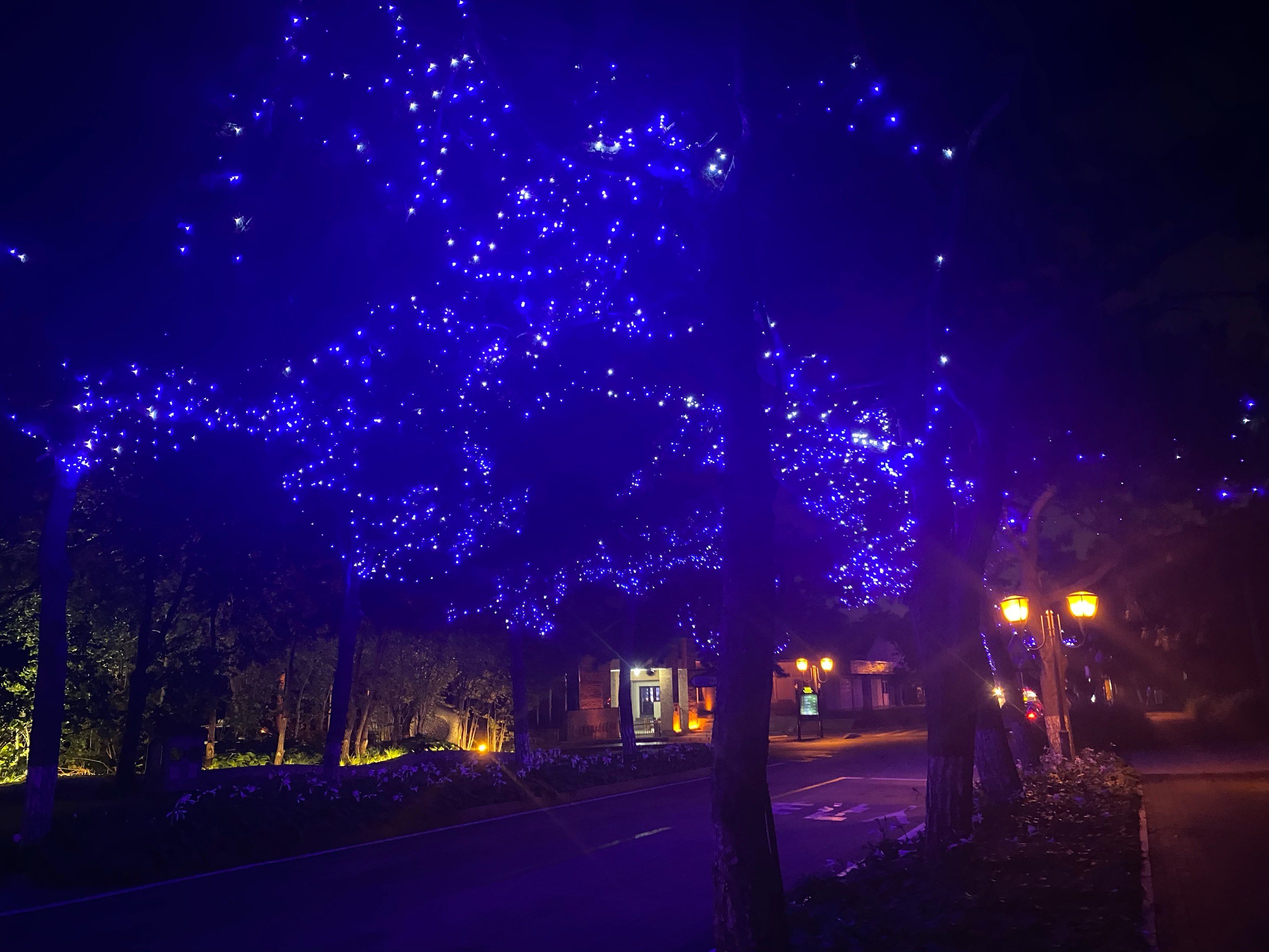 灯光闪烁像什么一样