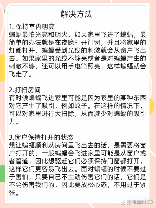 有蝙蝠飞进屋怎么弄出去
