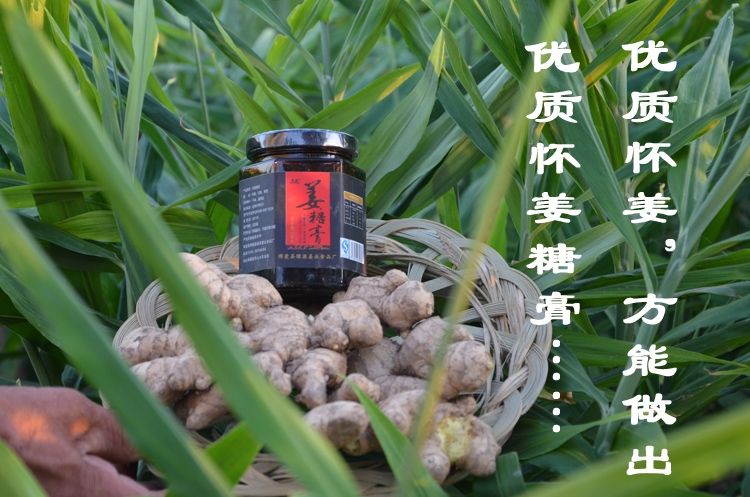 怀姜是什么姜