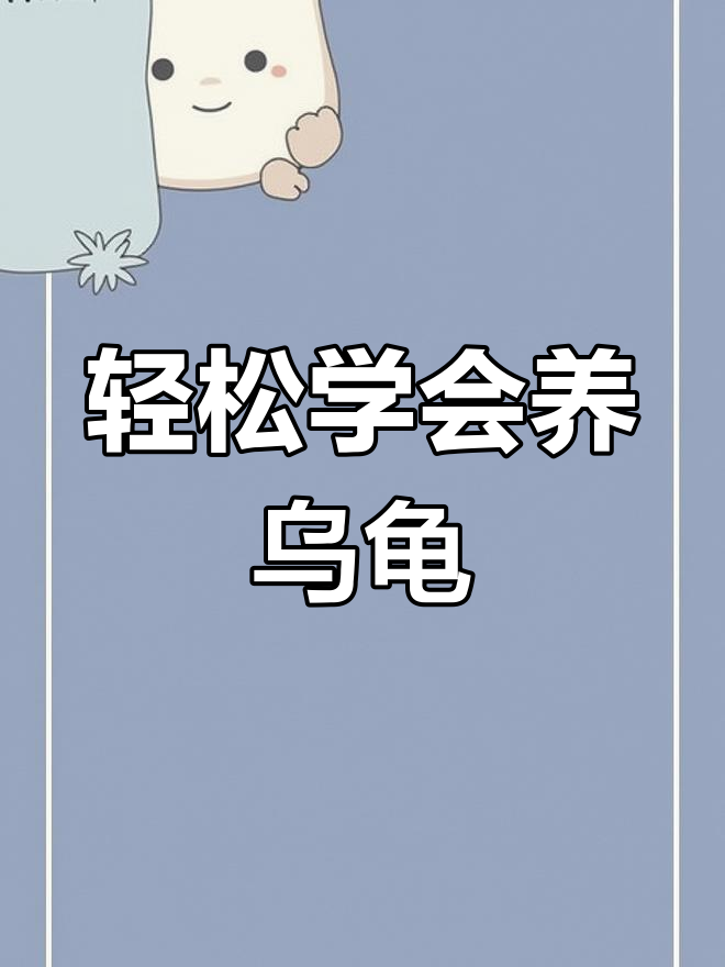 如何养乌龟