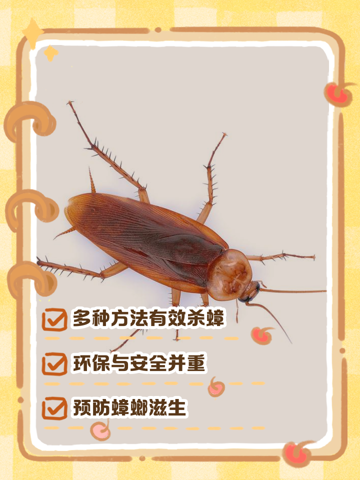 蟑螂怎么来的