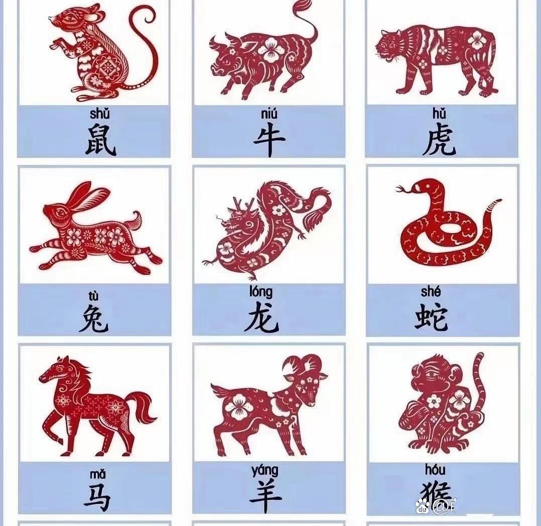 12仙子是指什么生肖