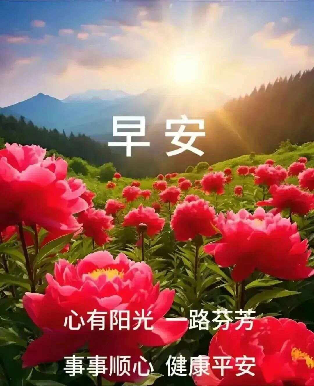清晨问候语正能量