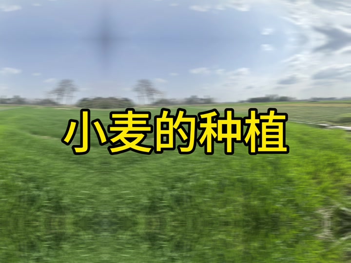看点 第64页