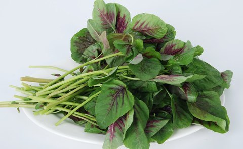 苋菜是什么菜