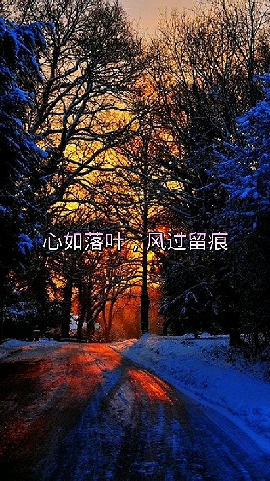 清风霁月余此生啥意思