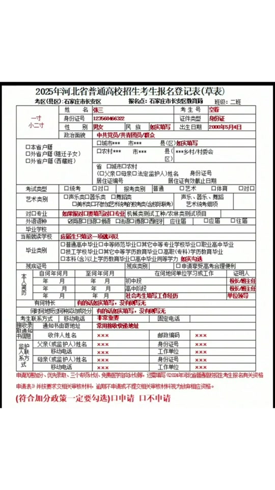 学生主要经历怎么填