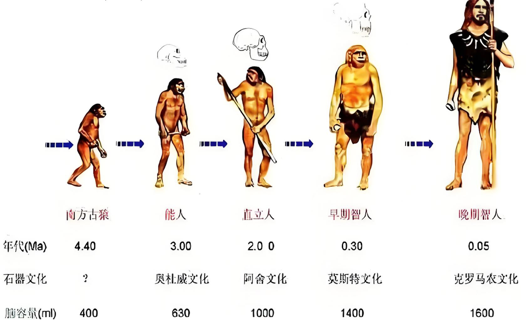 人类起源于多少年前