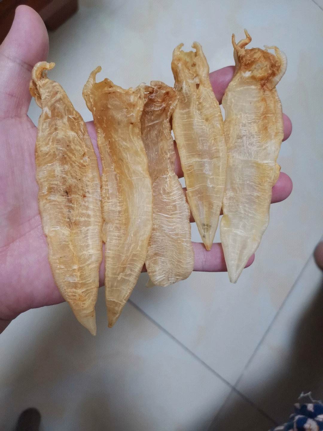 什么是花胶