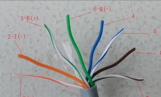 新闻 第61页