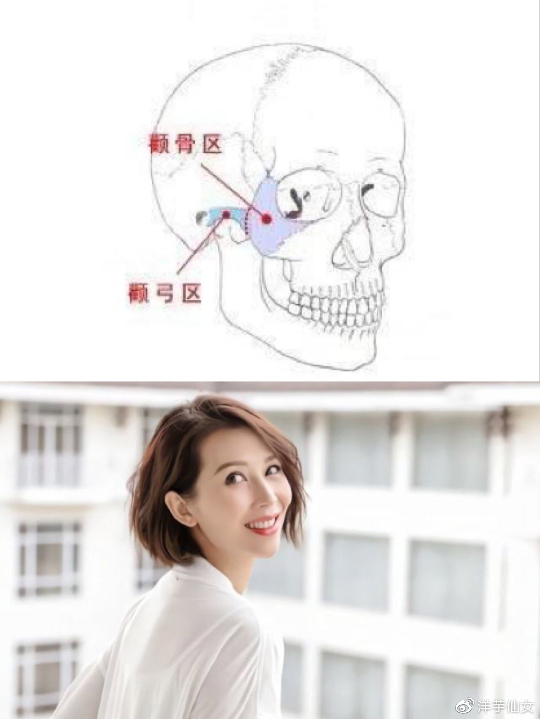 颧骨是哪里