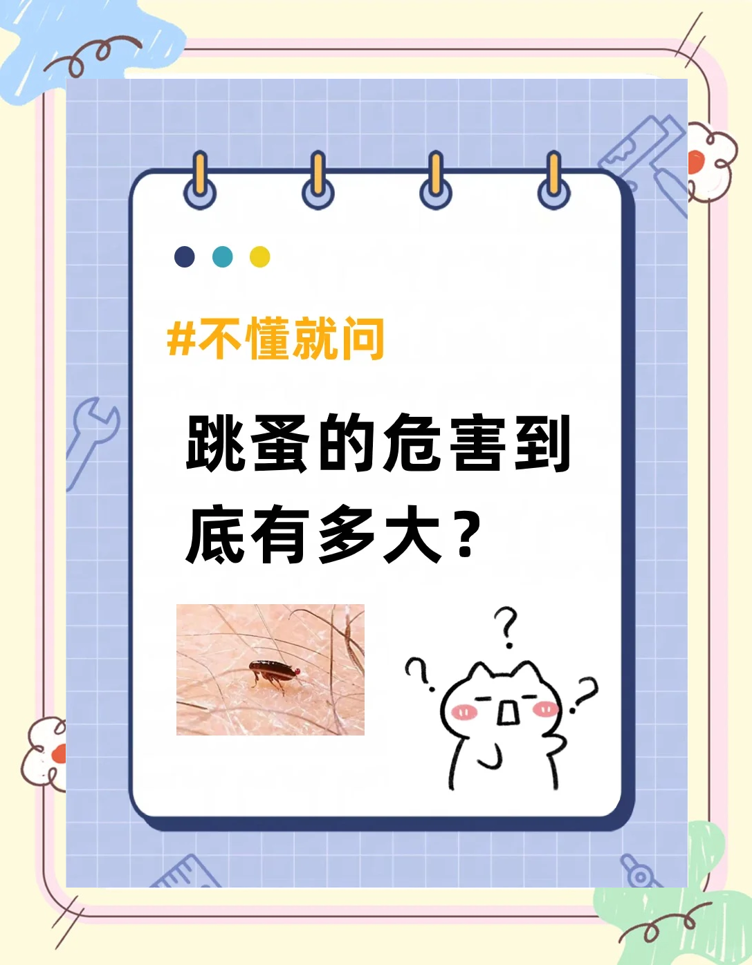 跳蚤多大