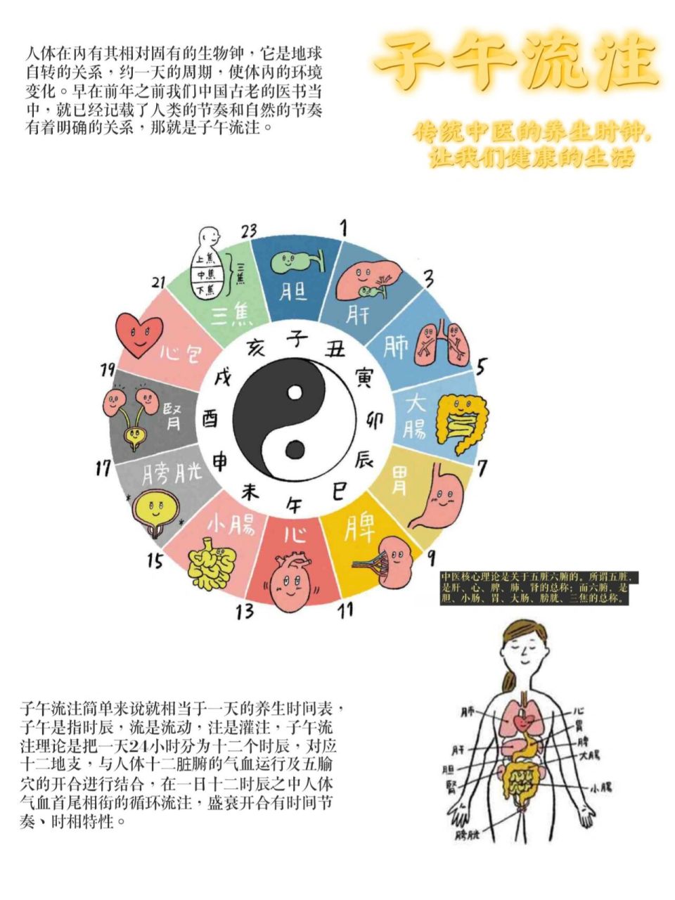 子午是什么时间