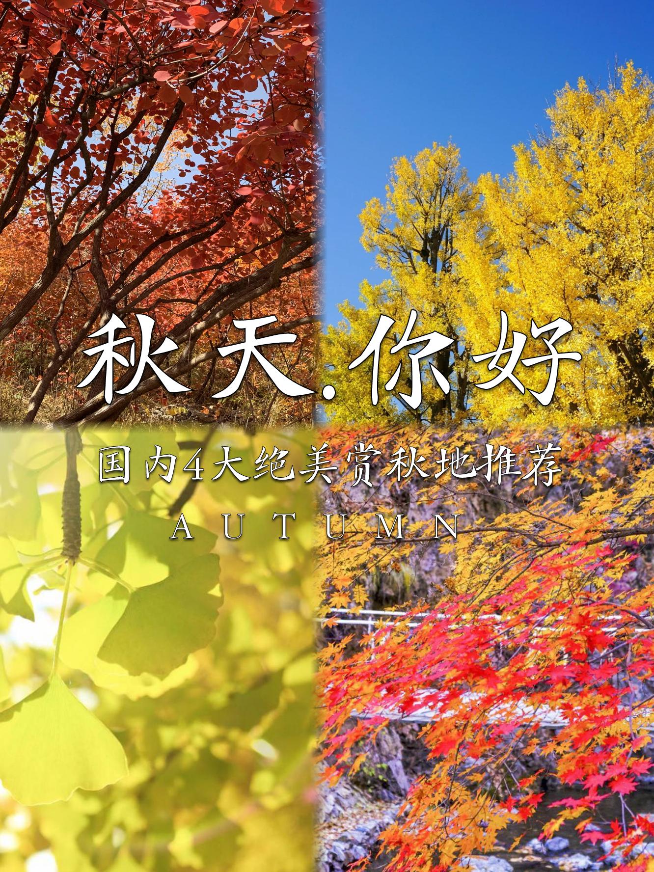 尽收眼底的尽是什么意思