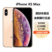 xsmax支持双卡吗
