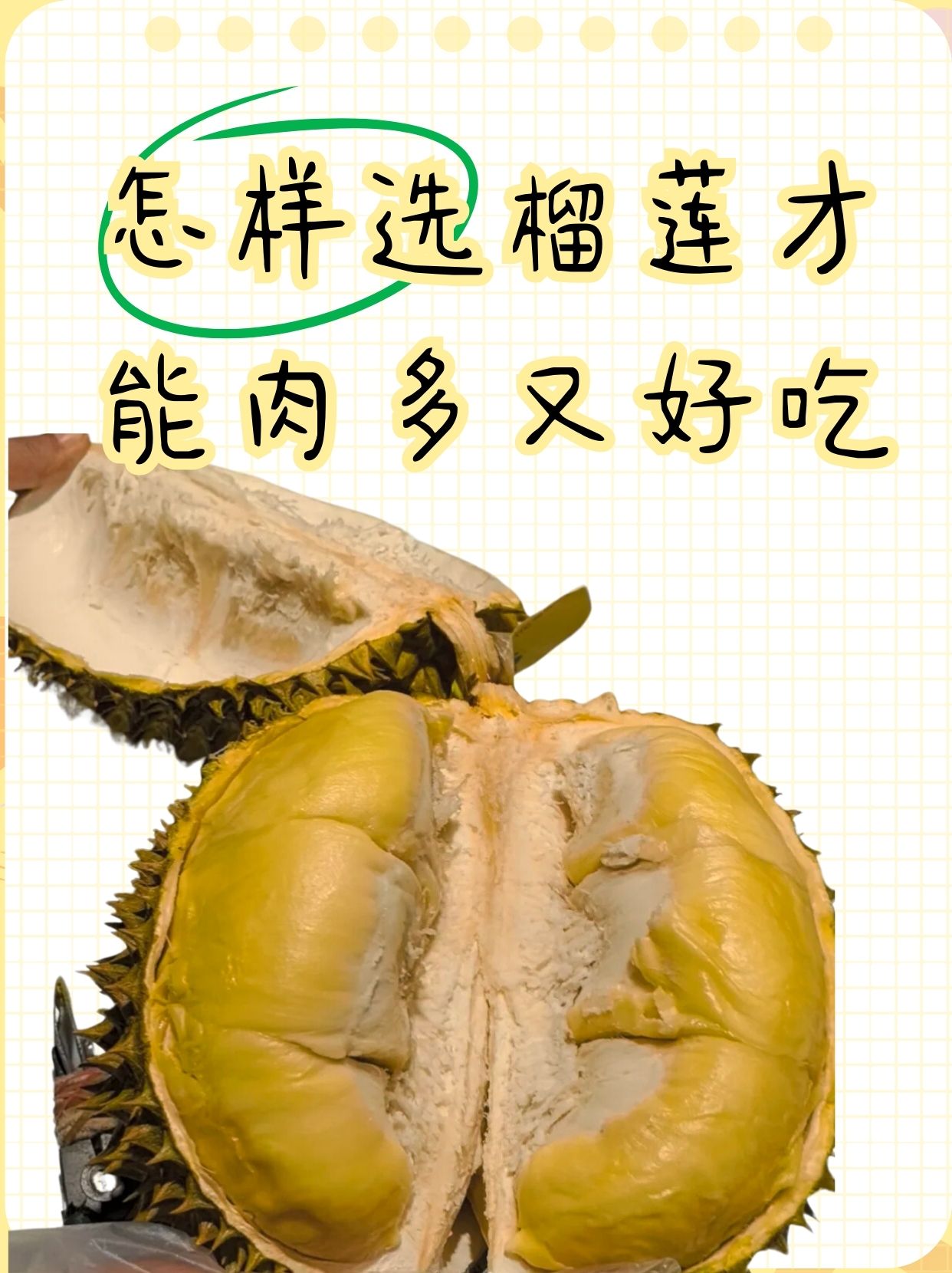 怎么挑选肉多的榴莲