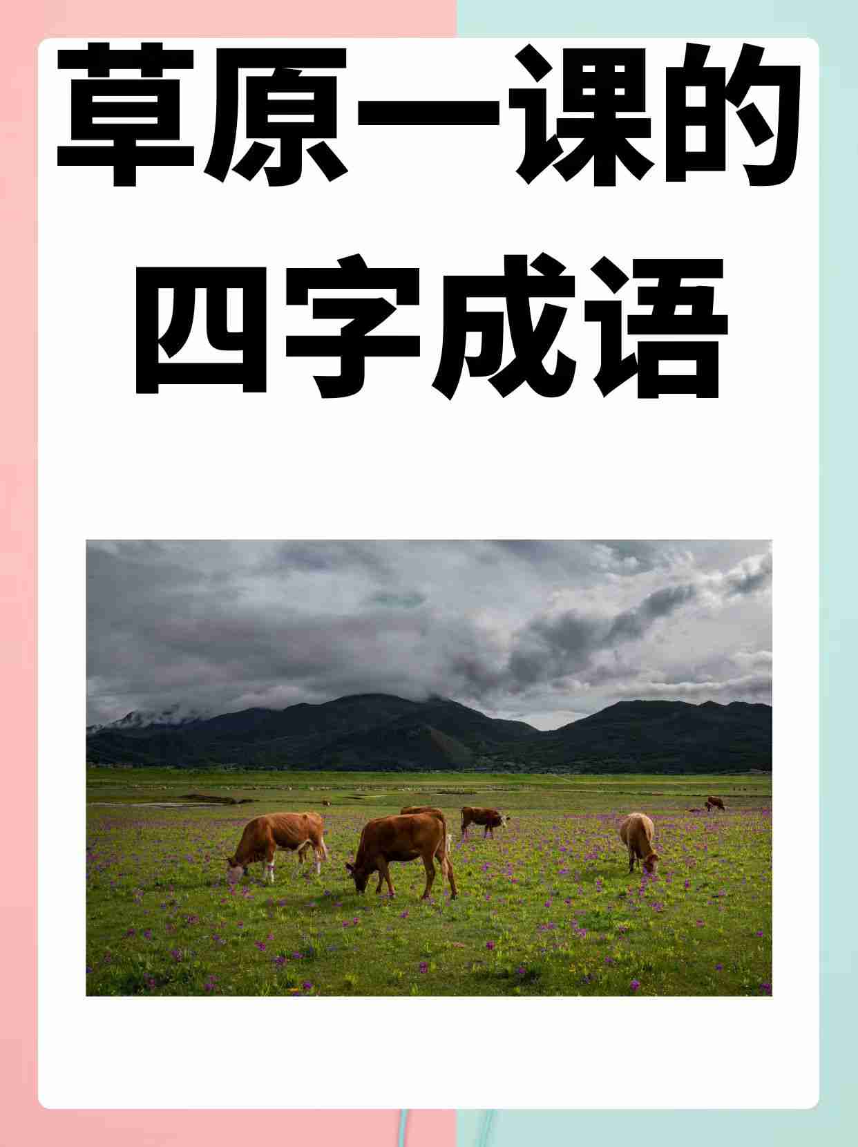 带观字的四字成语有哪些
