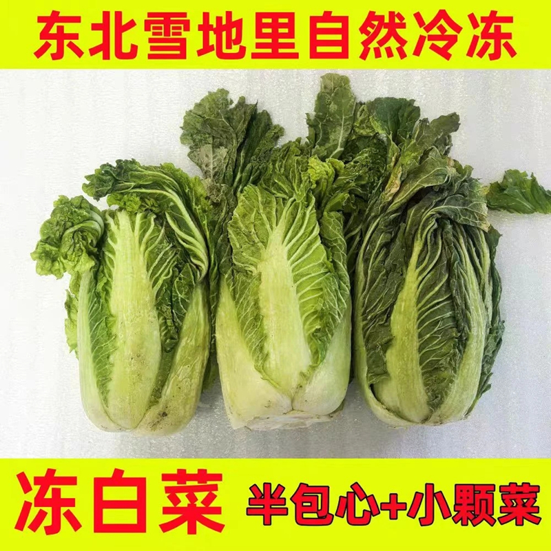 冻白菜能吃吗有毒吗