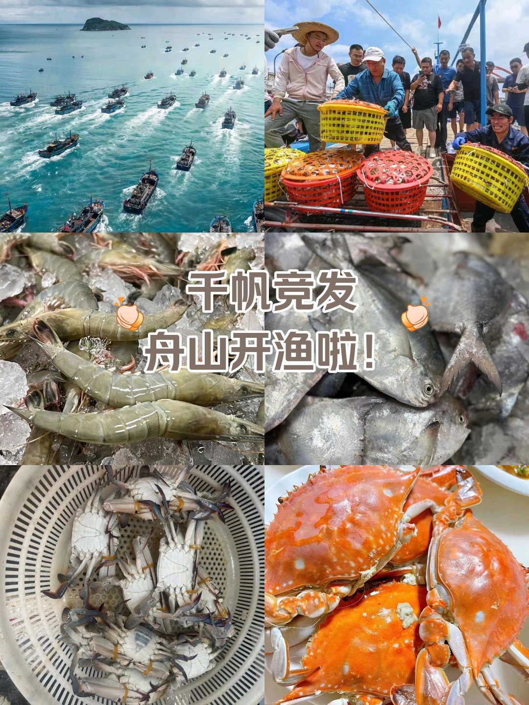 休渔期是几月到几月