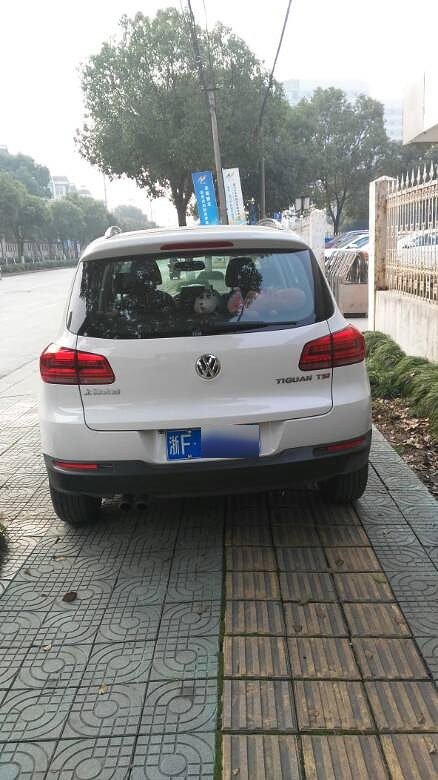 浙d是哪里的车牌