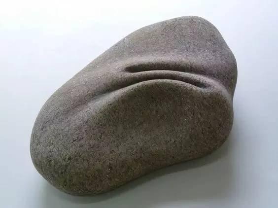 顽石特质是什么意思