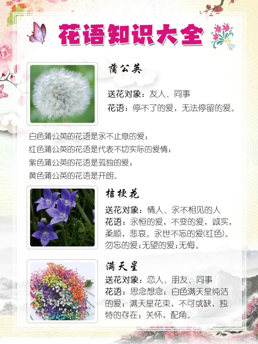 全世界各种花的花语是什么