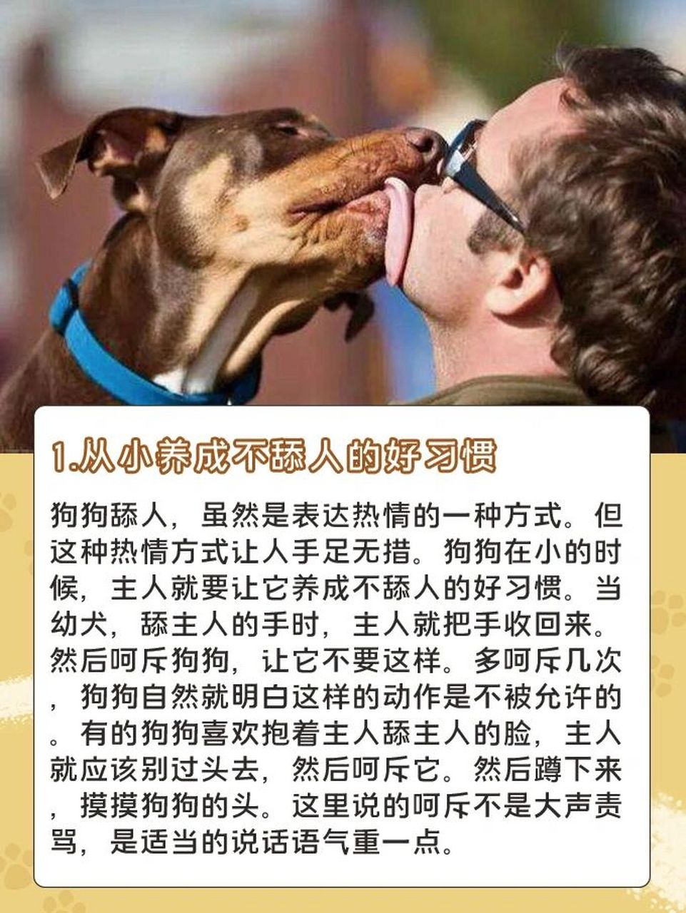 舔狗是什么的意思