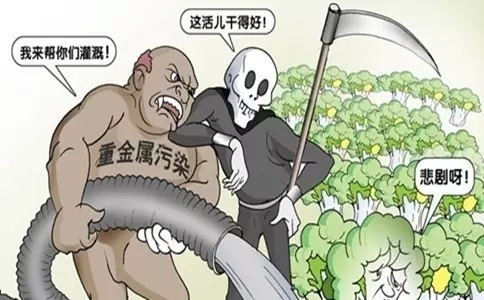 毒胶囊是哪一种重金属含量超标