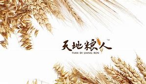 最新 第26页