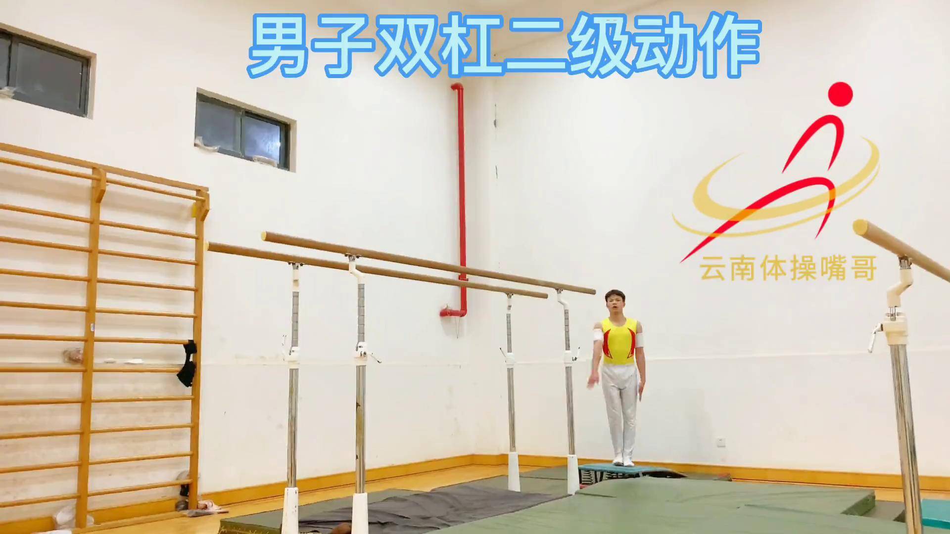 双杠动作名称及分解图