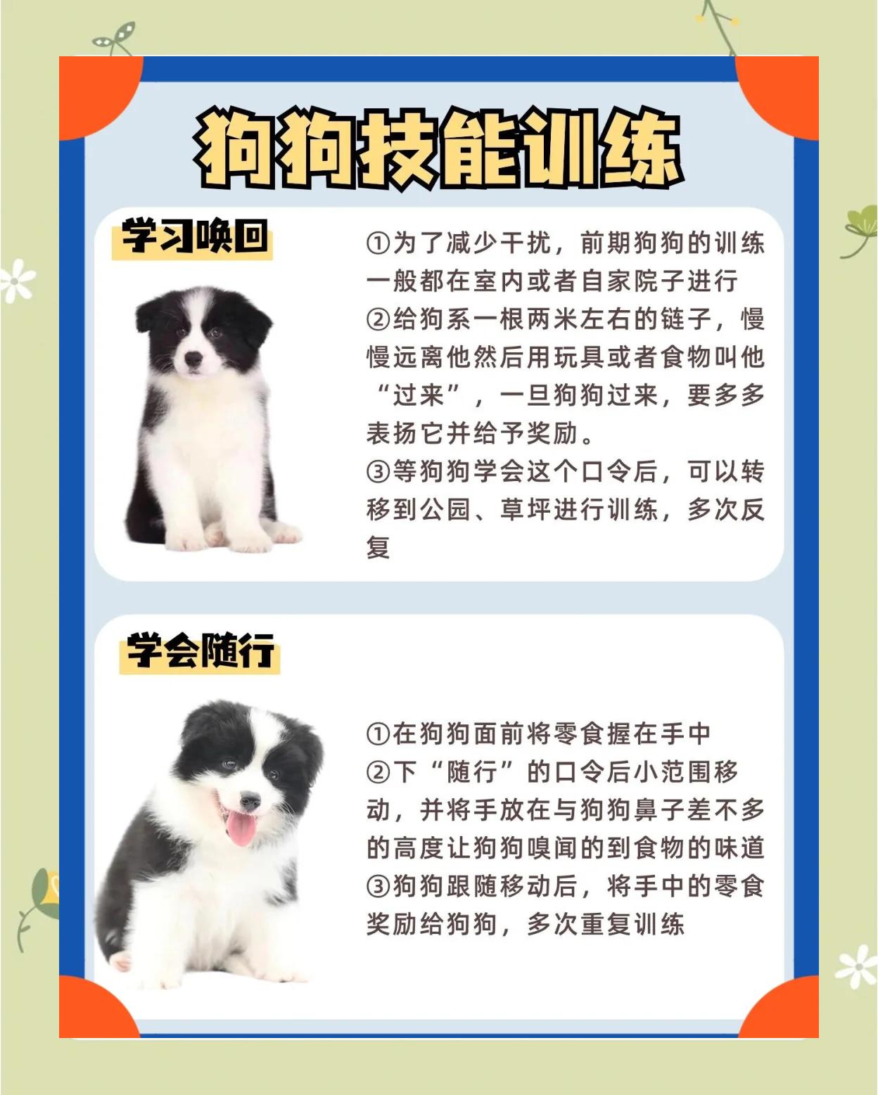 怎么训练狗狗不咬人