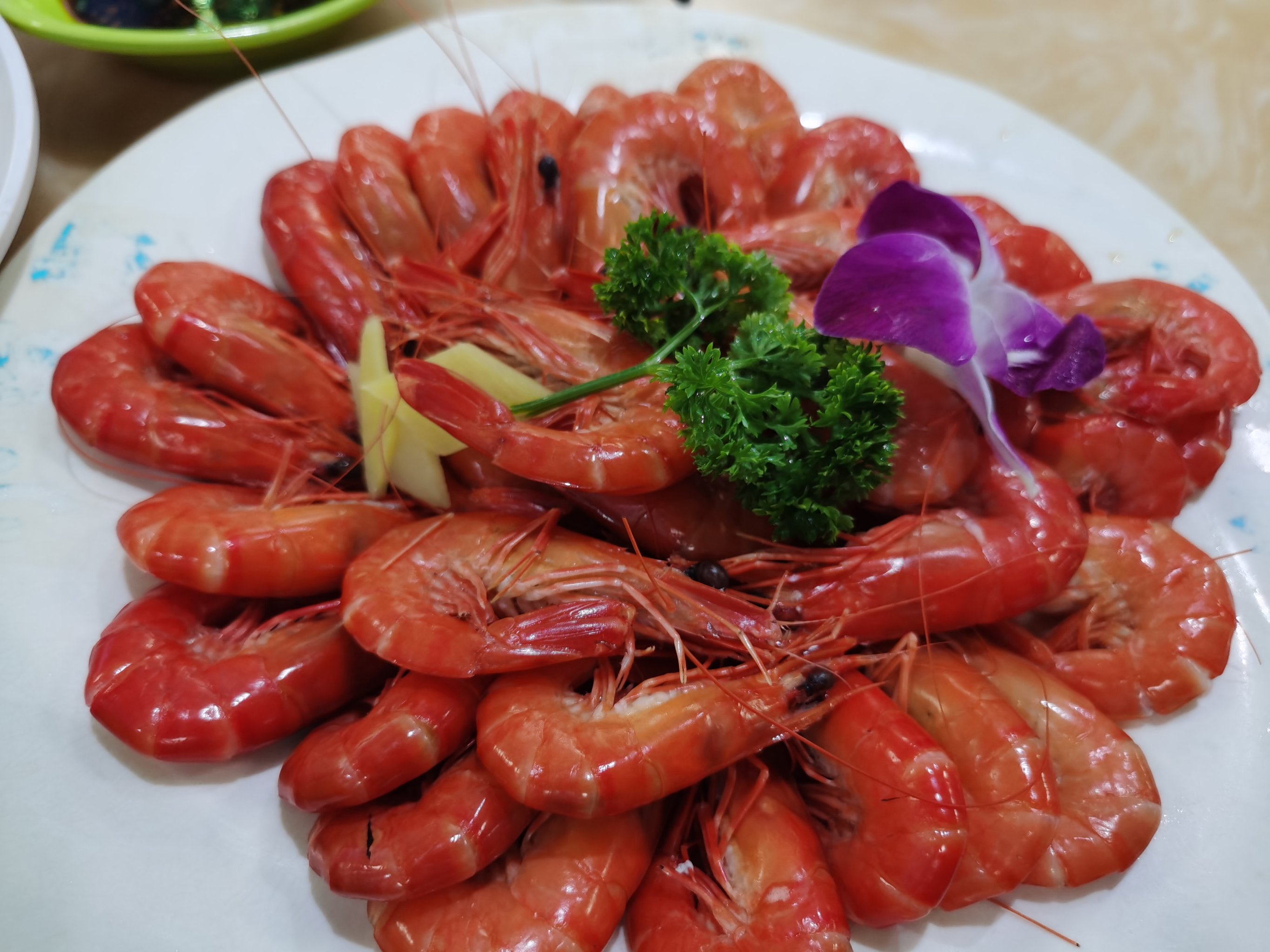 海豚吃什么食物