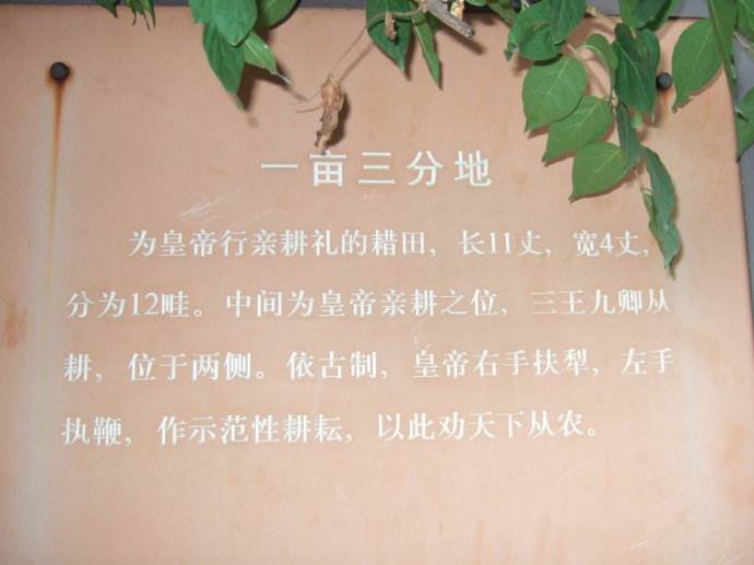 最新 第23页